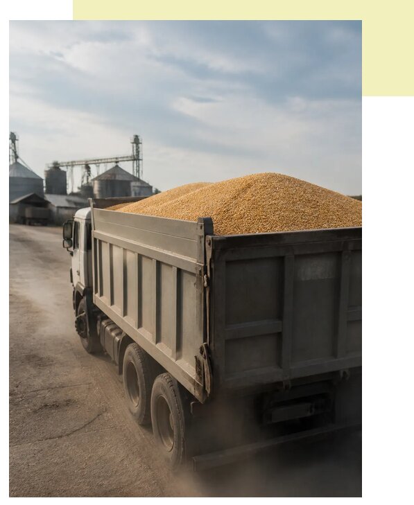 Перевозка сельхозпродукции навалом в Котлас по цене от 3109 р. | Агросервис-Ктл