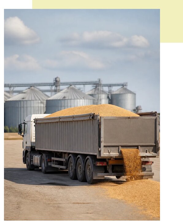 Перевозка пшеницы автотранспортом в Котлас по цене от 5544 р. | Агросервис-Ктл