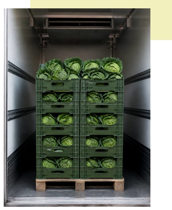 Перевозка савойской капусты в Котлас по цене от 5700 р. | Агросервис-Ктл